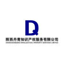 陕西丹青知识产权有限公司