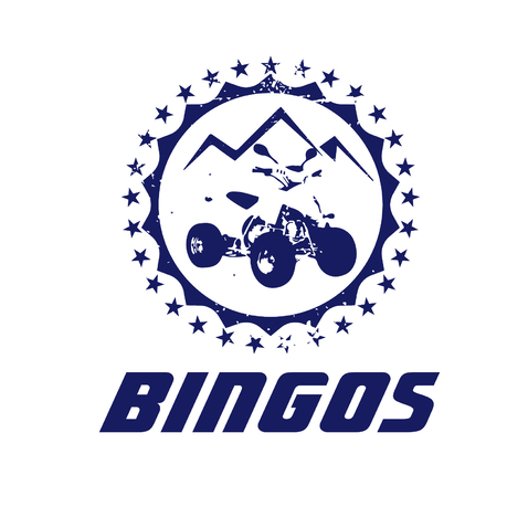 bingoslogo设计