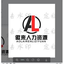 人力资源