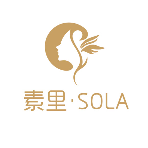 索里solalogo设计