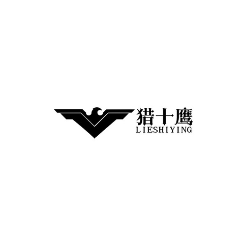 烈十鹰logo设计