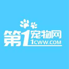 网站标志