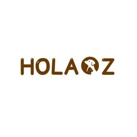 HOLAGZlogo设计