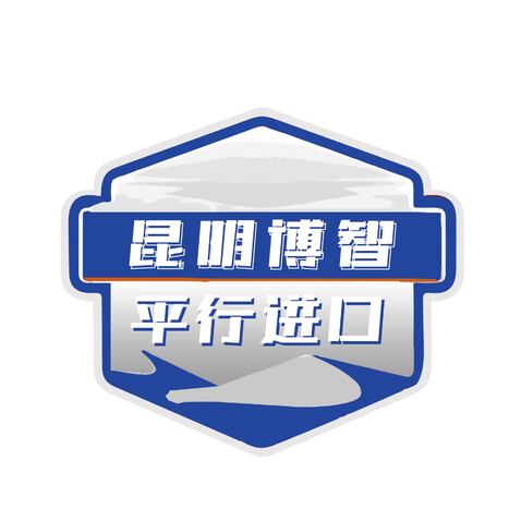 昆明博智logo设计