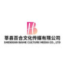 莘县百合文化传媒有限公司