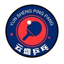 云盛乒乓