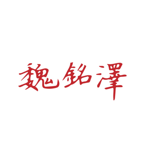 魏銘澤logo设计