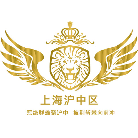 上海沪中区logo设计