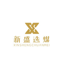 新盛选媒