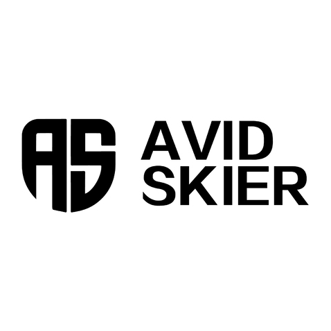 avid skierlogo设计