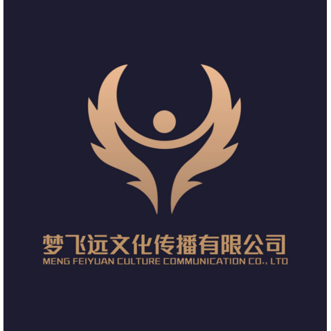 梦飞远文化传播有限公司logo设计