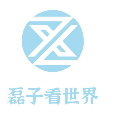 磊子看世界logo设计