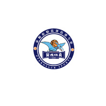 翼龙