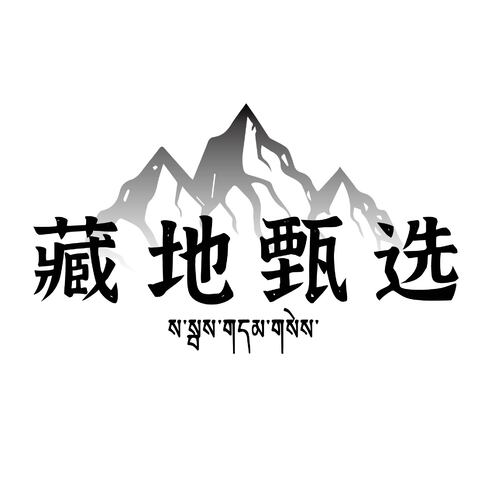 藏地甄选logo设计