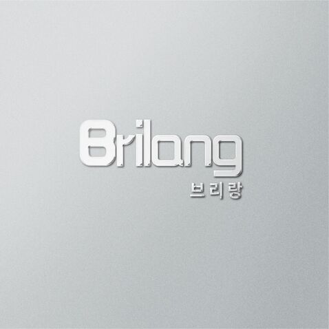 Brinanglogo设计