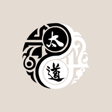 太道太极