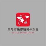 安徽省阜阳市朱寨镇黄牛改良