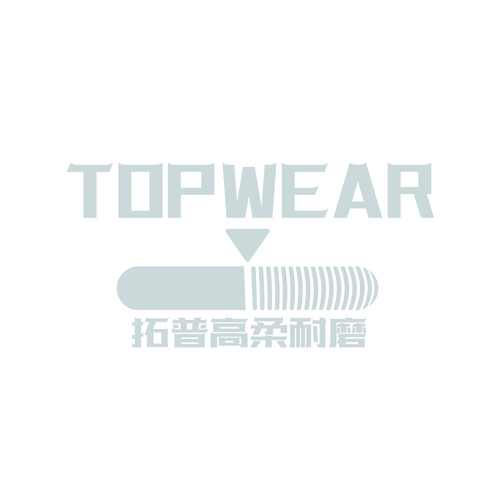 TOP WEARlogo设计