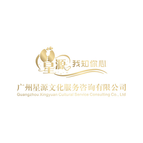 广州星源文化服务咨询有限公司logo设计