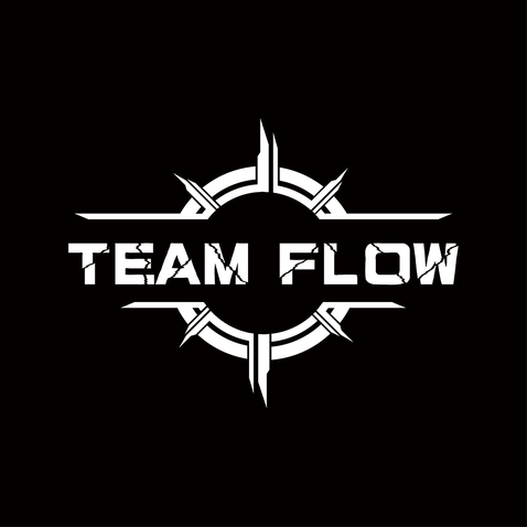 TEAM FLOWlogo设计