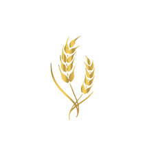 麦穗儿