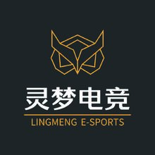 灵梦电竞