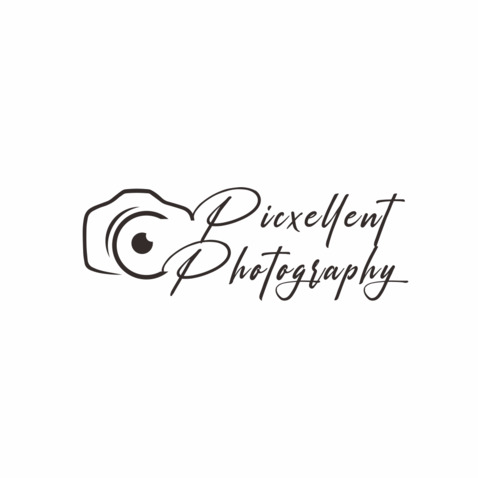 Picxellent Photographylogo设计