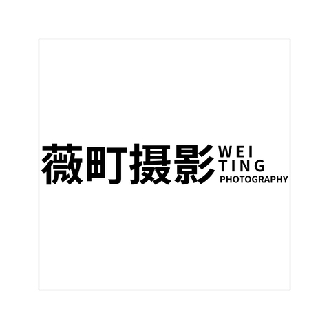 薇町摄影logo设计