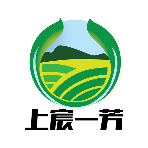 上宸一芳logo设计