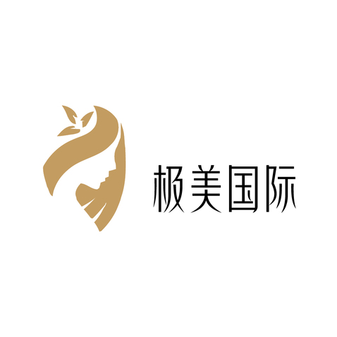 极美国际logo设计