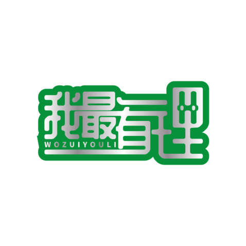 我最有锂logo设计