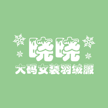 晓晓女装羽绒服