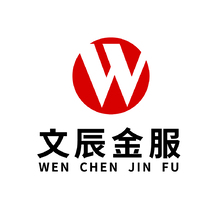 文辰金服