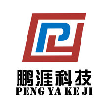 鹏涯科技