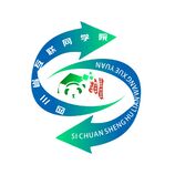 四川省互联网学院