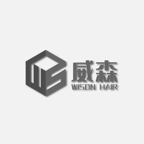 威森美发形象设计工作室logo设计