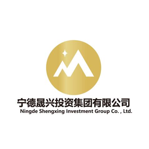 宁德晟兴投资集团有限公司logo设计