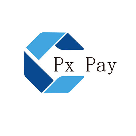 PX  Paylogo设计