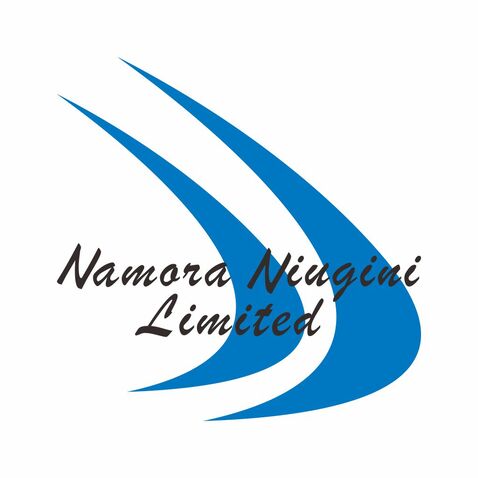 namora niugini limitedlogo设计