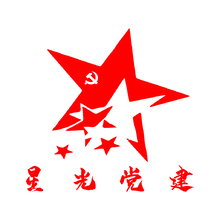 星光党建