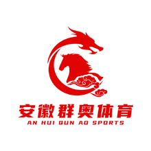 安徽群奥体育