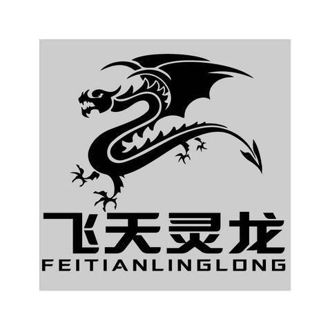 飞天灵龙logo设计