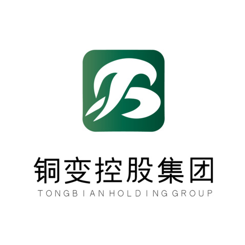 铜变控股集团logo设计