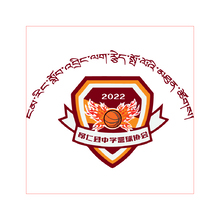 昂仁县中学篮球协会