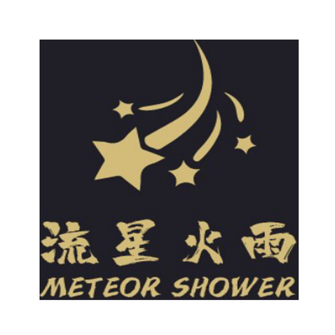 流星火雨logo設計