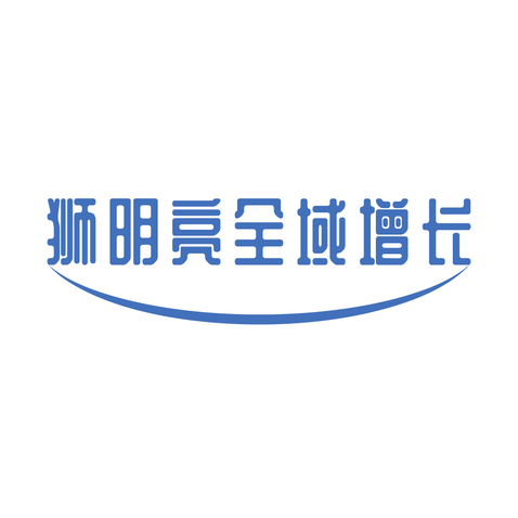 狮明亮全域增长logo设计