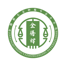 金腾辉