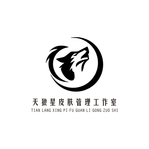 天狼星皮肤管理工作室logo设计