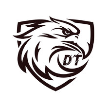 DT