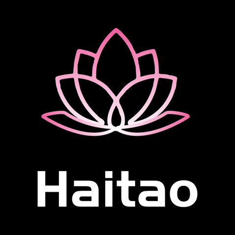 HAITAOlogo设计